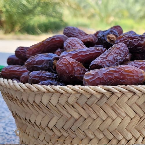 تصویر 4 از خرید خرمای سنگ‌ شکن + قیمت فروش استثنایی